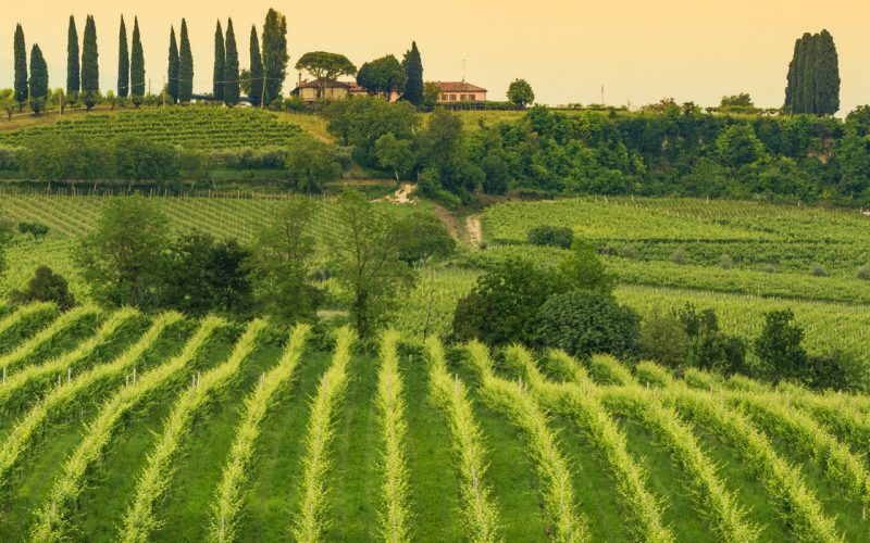 Conegliano y Valdobbiadene: entre las colinas del Prosecco